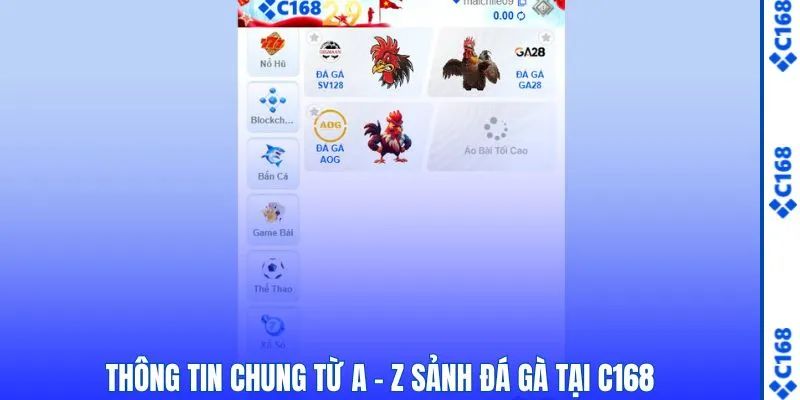 Đá Gà 1 Tổng hợp từ A - Z thông tin chung sảnh đá gà C168