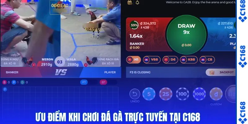 Đá Gà 2 Ưu điểm khi tham gia cược chọi gà online trực tuyến